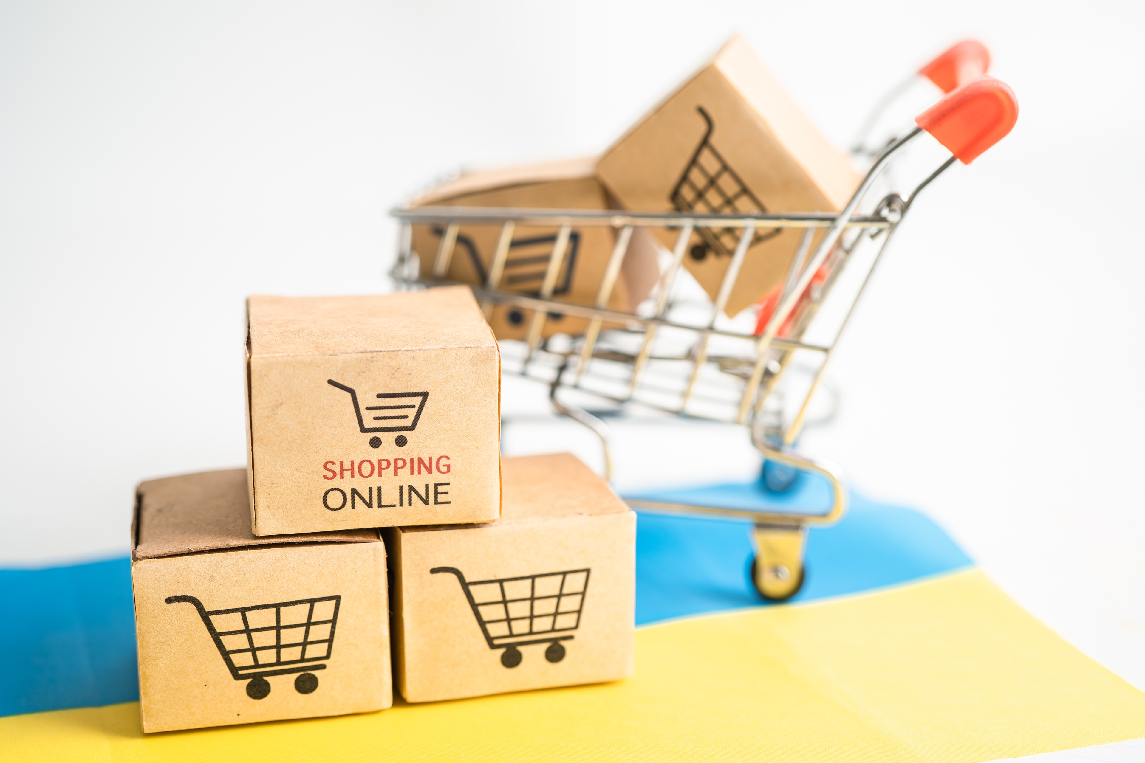 Professional Marketplace Management